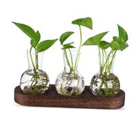 VANZACK Vase Verre Transparent pour Terrarium De Plantes Bouteille De Propagation Hydroponique pour Bureau Table Et Maîtresse