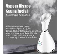 Vapeur Visage Sauna Facial Nano Ionique Pulvérisateur 65ml 300W - Inhalateur Machine Soins de Nettoyage Peau