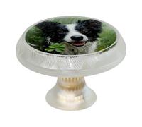 VAPOKF Lot de 4 boutons d'armoire Border Collie avec 2 tailles de vis, 35 mm - Poignées de tiroir rondes transparentes pour tiroirs de cuisine et commode, bureau, armoire de salle de bain