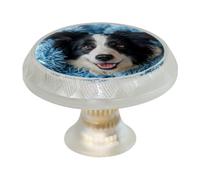 VAPOKF Lot de 4 boutons de porte Border Collie ronds transparents de 35 mm pour portes d'armoires de cuisine, meubles de cuisine, avec 2 tailles de vis