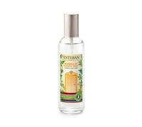 Vaporisateur 100ml mangue et citron vert