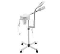 Vaporisateur 2 en 1 750 W - 5 lampes loupes - Pour salon, cliniques de beauté, centres de bien-être, bains d'eau