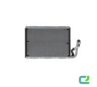 Vaporisateur Climatisation MAHLE pour Mercedes Classe E (W212)