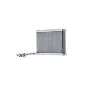Vaporisateur Climatisation Tubes Parallèle 308 MM - 200 MAHLE pour U. A. DAF Lf