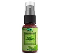 Vaporisateur d'ambiance aromatique à la menthe poivrée | Désodorisant pour la maison, la voiture et le bureau, parfum durable, sans fumée, non toxique, brume d'oreiller en spray 10 ml