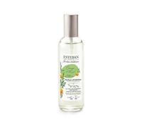 Vaporisateur d'Ambiance Thé Orange&Vert 100ml - Esteban Paris