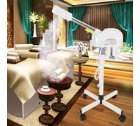 Vaporisateur facial pour studio de maquillage quotidien hydratant et visage Machine à pulvériser à froid Sauna facial Ozone Vaporisateur à ozone Vaporisateur à vapeur Appareil à vapeur froid chaud