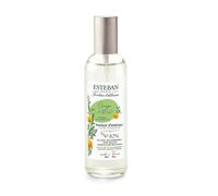 Vaporisateur Spray Pour Environnement 100ML Orange Et Thé 'Vert Esteban