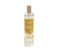 Esteban - Thé et Pain d'épices Parfum d'intérieur Vaporisateur de sac 75 ml unisex