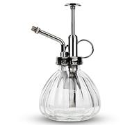 Vaporisateur Vintage pour Plantes et Fleurs, Arrosoir rétro avec Pompe