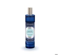 VAPORIZZATORE SPRAY PER AMBIENTE 100ML SANDALO E FIORE DI COCCO ESTEBAN