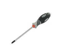 Var tournevis professionnel a lame phillips n 1x100 mm