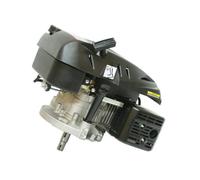 Varan Motors - 92593 Moteur thermique essence à sortie verticale 6PS 173cc