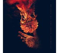 Vari-10anni Di Hit P - 10 Anni Di Hit Parade Vol. 1