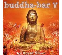 Vari Artisti - Buddha Bar V Doppio CD musica lounge chillout etnico relax Claude Challe USATO ottime condizione per collezionisti