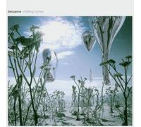 Vari-Besame-Chilling – Besame-Chilling Tunes – Import