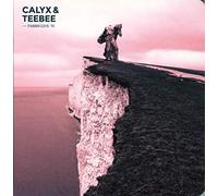Calyx & Teebee – Fabric Live 76