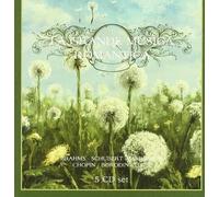 Vari-La Grande Music La Grande Musica Romantica (CD)