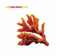 Vari-Las Salinas 200 - Las Salinas 2004 [Import]