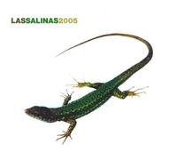 Vari-Las Salinas - Las Salinas 2005 [Import]