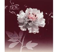 Vari-Late Afternoon - Late Afternoon Jazz