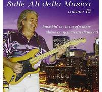 Vari-Sulle Ali Della Musica Vol.13 - Sulle Ali Della Musica Vol.13 [Import]