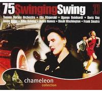 Vari-Swinging Swing - Swinging Swing