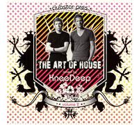 Vari-the Art of Hous - The Art of House Vol.2 [Import]