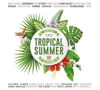 Various Artists - Tropical Summer Compilation/Various