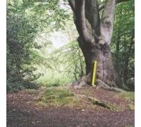 Vari-Will Saul - Will Saul-Simple Sounds [Import]