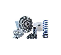 Variateur Hi-Speed Evolution 3 Polini pour T-Max 5