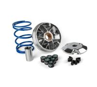 POLINI Variateur Hi-Speed