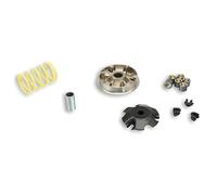 Variateur MALOSSI Multivar 2000 pour Speedfight, Elyseo, Trekker, Vivacity 100. (après Bj. 9/99), Poids : 19 x 15,5 mm - 11 50