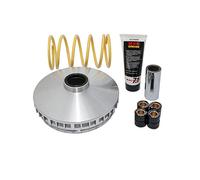 Variateur MALOSSI Multivar ITALJET JUPITER 250 4T LC