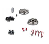 Variateur MALOSSI Multivar MHR APRILIA SR50 LC (94-97)