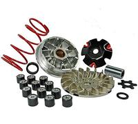 Variateur MALOSSI Multivar MHR BETA Ark 50 LC Type : BS4