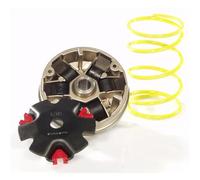 Variateur MALOSSI Multivar pour cpi Hussar, (16 x 13 ; 6,0 g), Ressort à Contre-Pression : Blanc, Poids : 16 x 13 mm - 6,00 G