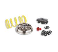 Variateur MALOSSI Multivar pour Piaggio Sfera/Zip (Bj. 91-94), Ressort à Contre-Pression : Blanc, Poids : 16 x 13 mm - 6,00 G