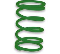 Variateur Malossi MULTIVAR ressort de contraste vert 57,80x91 mm k 4,9