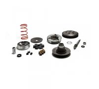 Variateur Malossi Over Range Pour Mobylette Piaggio 50 Ciao Px 6119262 Neuf