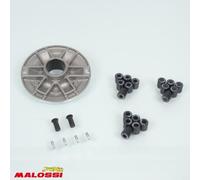 Variateur Malossi Pour Mobylette Mbk 50 51v 51 6798 / Var Plus / Av10 Neuf