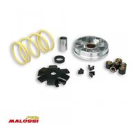 Variateur Malossi Pour Mobylette Peugeot 50 103 Fox 51 7073 / Multivar Neuf
