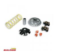 Variateur Malossi Pour Quad Kymco 300 Maxxer 5113892 / Multivar 2000 Neuf