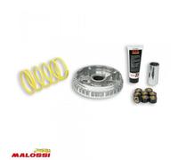 Variateur Malossi Pour Scooter Aprilia 250 Leonardo 1999 À 2004 5111225t Neuf
