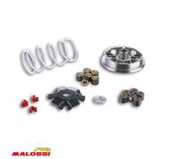Variateur Malossi Pour Scooter Cpi 50 Hussar 5113363 / Multivar Neuf