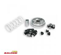 Variateur Malossi pour Scooter Daelim 125 SL Après 2003 Neuf