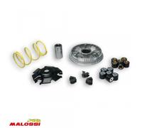 Variateur Malossi Pour Scooter Honda 125 Pcx Esp V2 2012 À 2017 Neuf