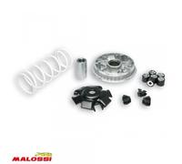 Variateur Malossi Pour Scooter Honda 125 Silver Wing 2007 5111572 Neuf
