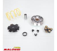 Variateur Malossi Pour Scooter Honda 50 X8rs 51 7117 / Multivar Neuf