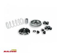 Variateur Malossi Pour Scooter Kymco 125 Movie 2000 5114404 / Multivar 2000 Neuf